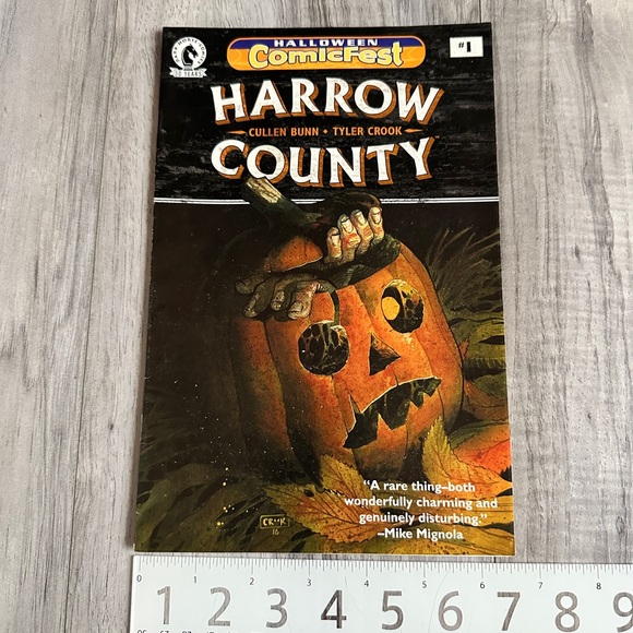 Harrow County #1 Halloween ComicFest Variant Comic Book 2016 Dark Horse - Picture 4 of 7